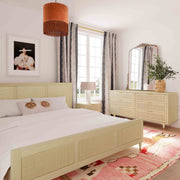TOV Furniture Sierra panel bed with a modern design featuring a sleek wooden frame and headboard.