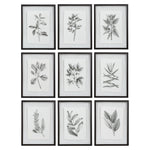 Set of 9 farmhouse floral framed prints by Uttermost featuring black frames and vibrant floral artwork.