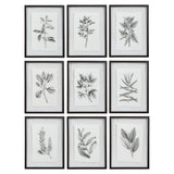 Set of 9 farmhouse floral framed prints by Uttermost featuring black frames and vibrant floral artwork.