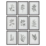 Set of 9 farmhouse floral framed prints by Uttermost featuring black frames and vibrant floral artwork.