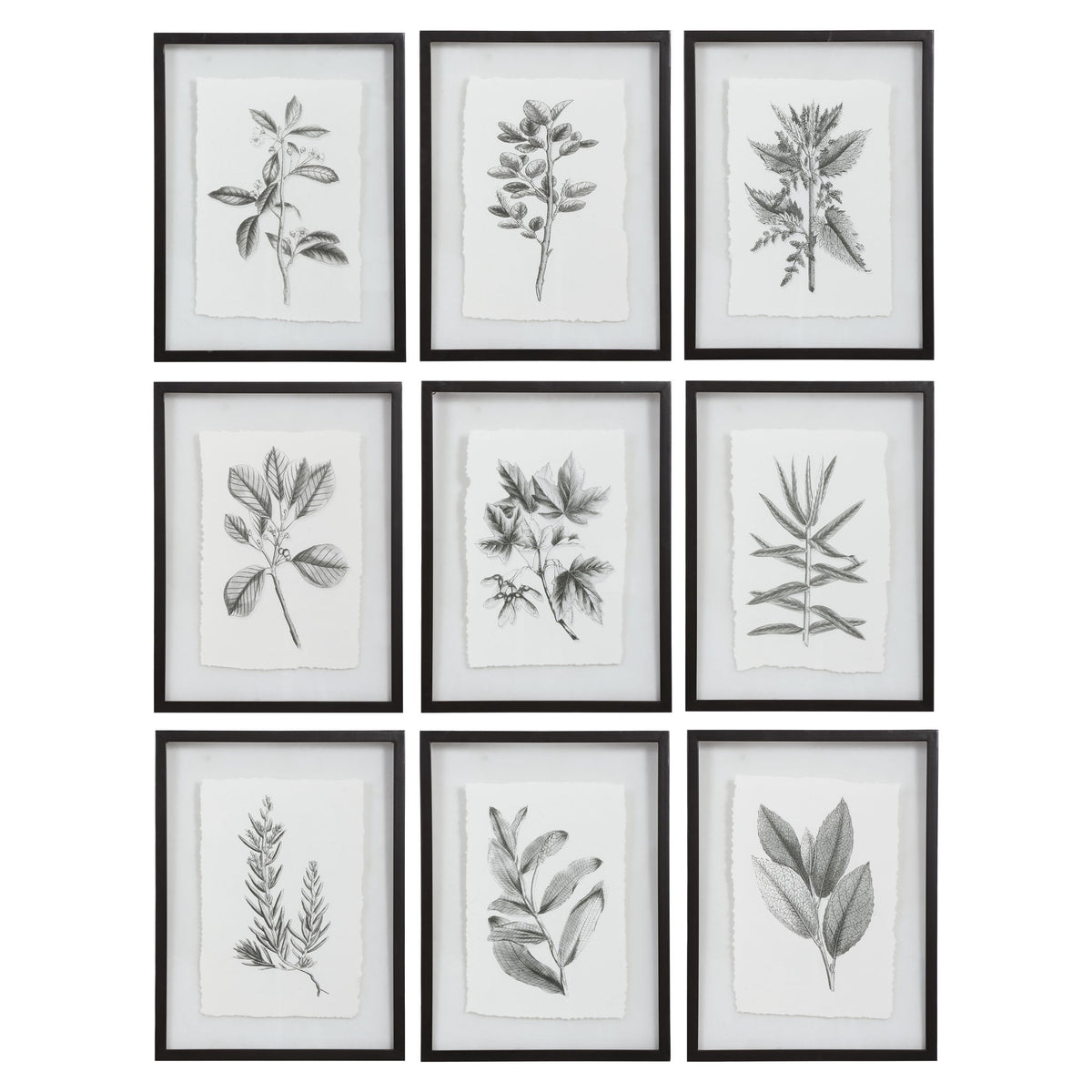 Set of 9 farmhouse floral framed prints by Uttermost featuring black frames and vibrant floral artwork.