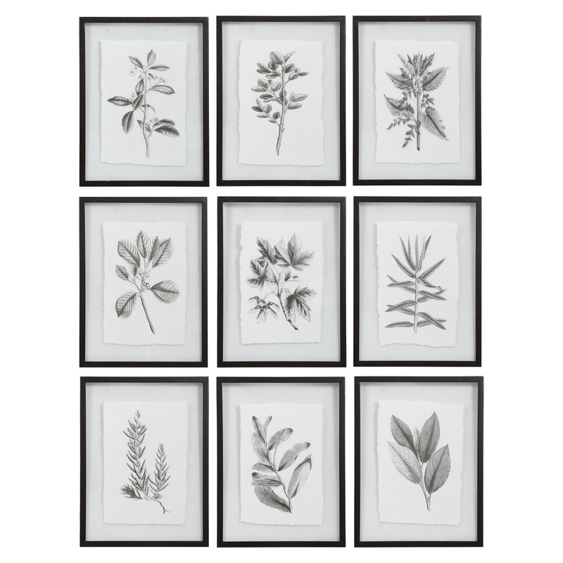 Set of 9 farmhouse floral framed prints by Uttermost featuring black frames and vibrant floral artwork.