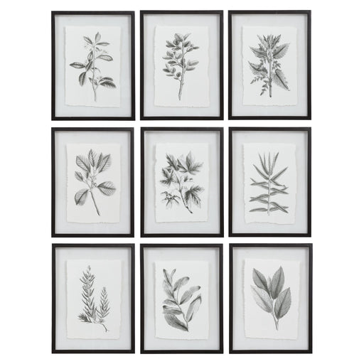 Set of 9 farmhouse floral framed prints by Uttermost featuring black frames and vibrant floral artwork.
