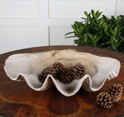 Beige clam shell bowl by Uttermost, decorative ceramic plate with a shell design, ideal for coastal-inspired table decor.
