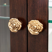 Camellia Field - Display Cabinet - Dark Brown - R&R Furniture Gallery (Fountain Valley, CA)