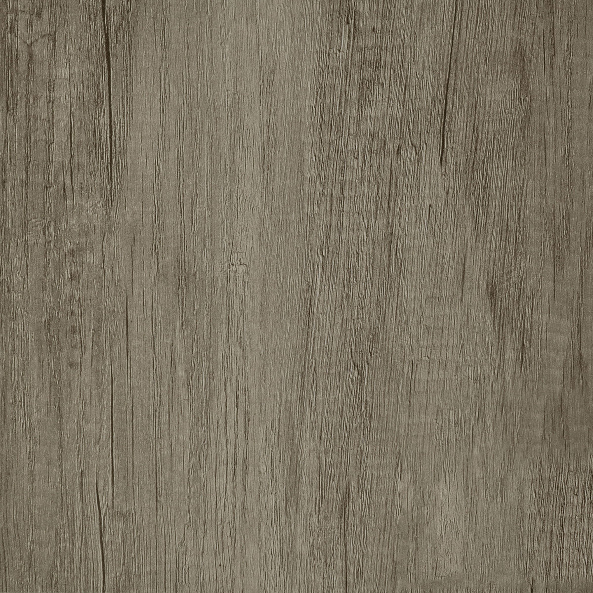 4 Panel Folding Screen