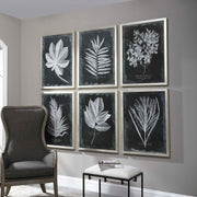 Set of six black framed foliage prints by Uttermost, featuring botanical artwork displayed in sleek black frames.