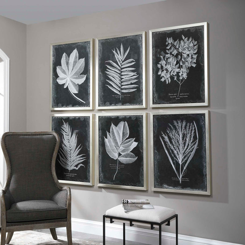 Set of six black framed foliage prints by Uttermost, featuring botanical artwork displayed in sleek black frames.