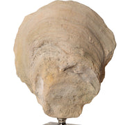 Set of two beige oyster shell sculptures by Uttermost, decorative sculptures and figurines for home decor.