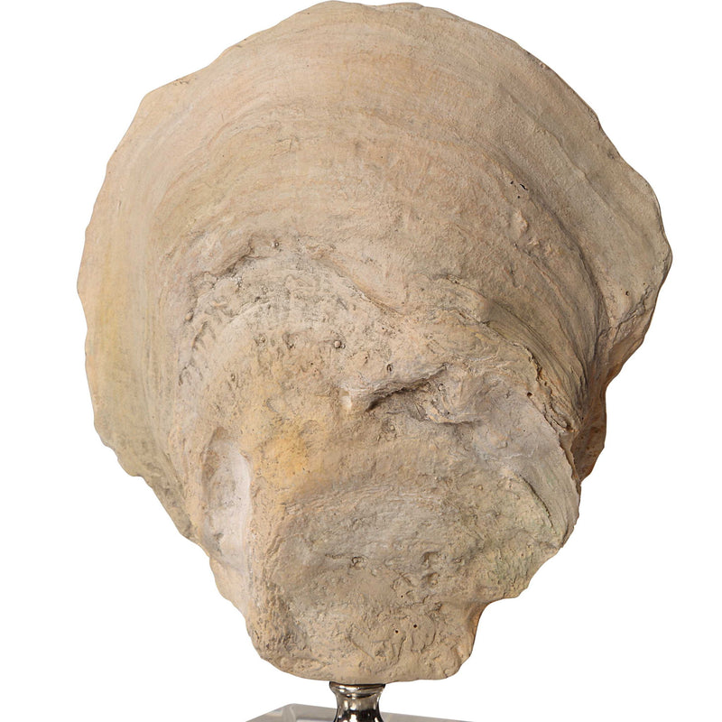 Set of two beige oyster shell sculptures by Uttermost, decorative sculptures and figurines for home decor.