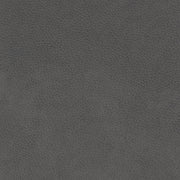 Audrey - Daybed - R&R Furniture Gallery (Fountain Valley, CA)