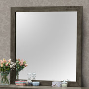 Modern design transitional wall mirror by Glory Furniture featuring a sleek, stylish frame suitable for contemporary home decor.