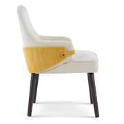 Indoor Dining Chair (Set of 2) With Sturdy Frame - Beige / Yellow - R&R Furniture Gallery (Fountain Valley, CA)