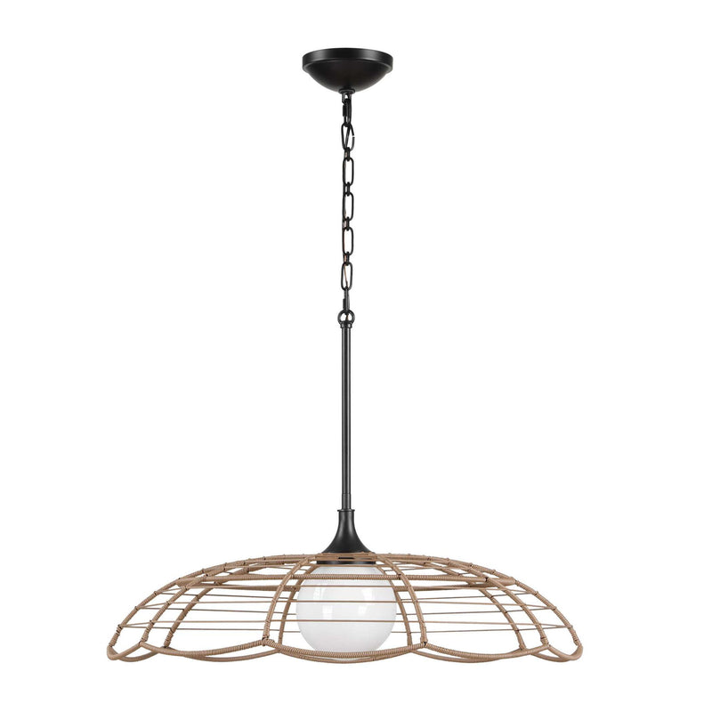 Lakeside - Indoor-Outdoor 1 Light Pendant - Black