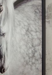 Archerwick - Wall Art - Black / White - R&R Furniture Gallery (Fountain Valley, CA)