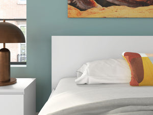 Onita - Panel Headboard - R&R Furniture Gallery (Fountain Valley, CA)