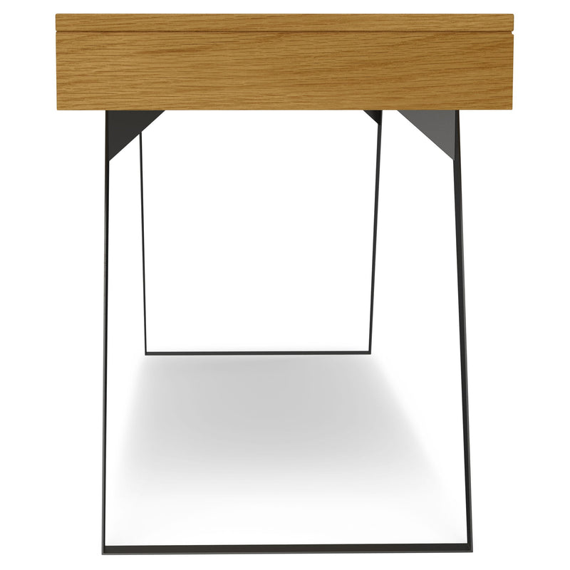 Lowry - Handcrafted Desk - R&R Furniture Gallery (Fountain Valley, CA)