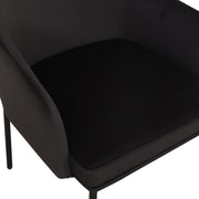 Pair of Sydney armchairs by TOV Furniture, modern chair set with cushioned seats and sleek design for living room decor.