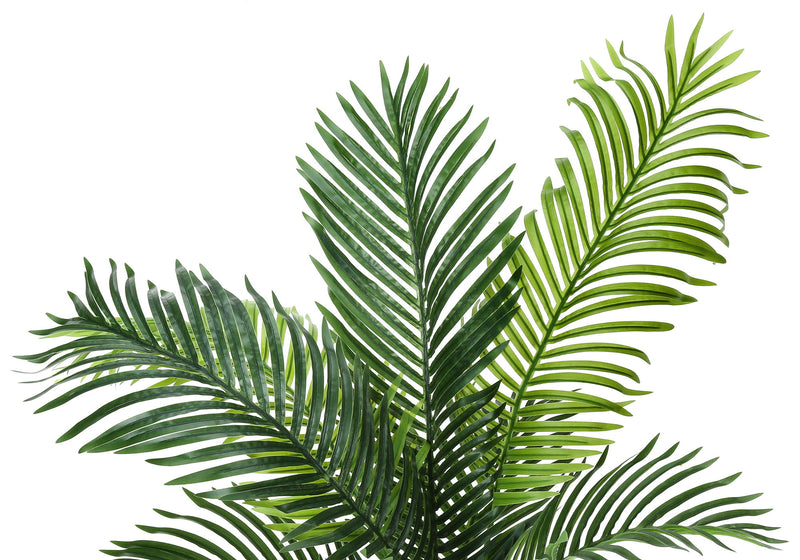 47" Tall, Artificial Plant, Palm Tree, Indoor, Faux, Fake, Floor, Greenery, Potted, Real Touch, Decorative - Green / Black - R&R Furniture Gallery (Fountain Valley, CA)