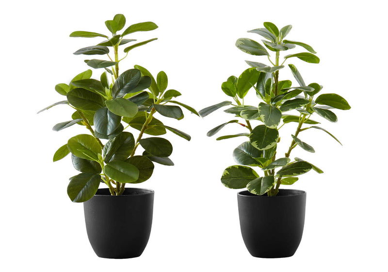14" Tall, Artificial Plant, Ficus, Indoor, Faux, Fake, Table, Greenery, Potted, Decorative (Set of 2) - Green / Black - R&R Furniture Gallery (Fountain Valley, CA)