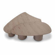 Rhema - Nesting Coffee Table (Set of 2) - Washed Ash - R&R Furniture Gallery (Fountain Valley, CA)