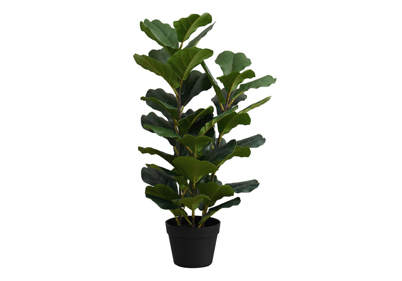 32" Tall, Artificial Plant, Fiddle Tree, Indoor, Faux, Fake, Floor, Greenery, Potted, Real Touch, Decorative - Green / Black - R&R Furniture Gallery (Fountain Valley, CA)