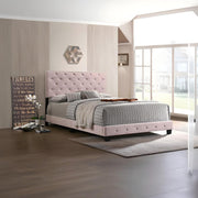 Luxurious Upholstered Bed - R&R Furniture Gallery (Fountain Valley, CA)