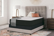 Limited Edition Firm - Mattress - R&R Furniture Gallery (Fountain Valley, CA)