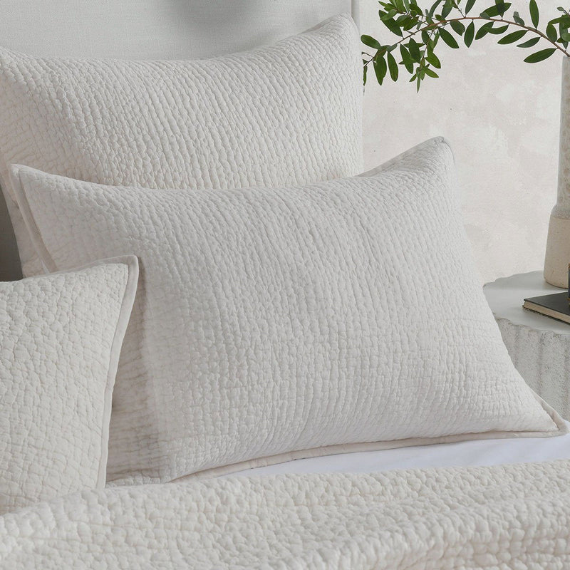 Danica - Sham - R&R Furniture Gallery (Fountain Valley, CA)