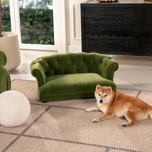 Kiki - Chesterfield Dog Sofa Bed Medium - R&R Furniture Gallery (Fountain Valley, CA)