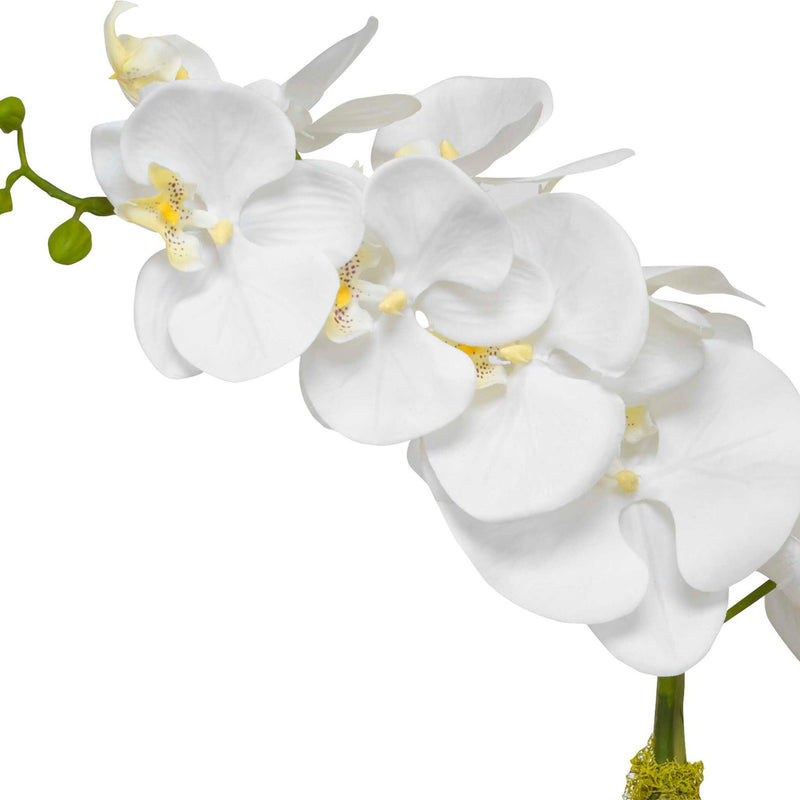 White orchid plant in a brass planter from Uttermost, showcasing elegant floral arrangement in a stylish container.
