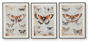 Jossletts - Wall Art Set (Set of 3) - Orange / Black / Ivory - R&R Furniture Gallery (Fountain Valley, CA)