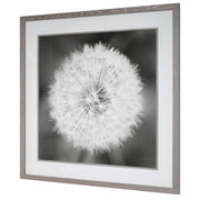 Framed print of dandelion seedhead in black by Uttermost, showcasing detailed botanical artwork on a neutral background.