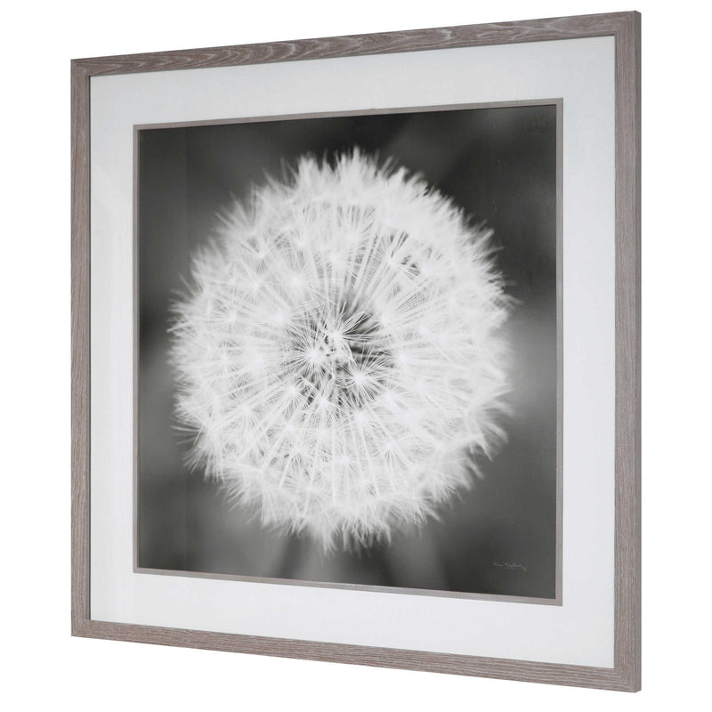 Framed print of dandelion seedhead in black by Uttermost, showcasing detailed botanical artwork on a neutral background.