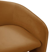 Velvet Marla accent arm chair by TOV Furniture with plush upholstery and modern design, shown in a cozy living room setting.