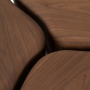 Gimbal - Modern 3-Piece Walnut Coffee Table — view 4