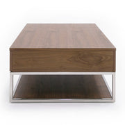 Heloise - Modern Walnut and Stainless Steel Coffee Table