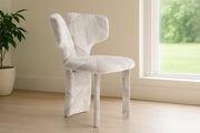 Masuda - Modern Beige Pattern Fabric Dining Chair (Set of 2)