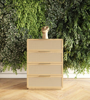 Gavin - Modern Natural Ash + Rattan Chest