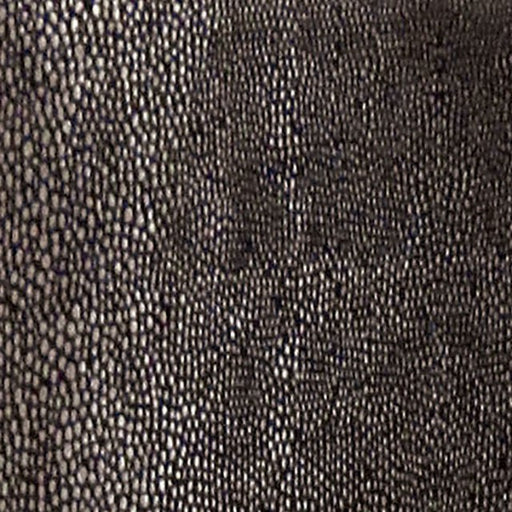 Shale Pillow (2/Box) - R&R Furniture Gallery (Fountain Valley, CA)
