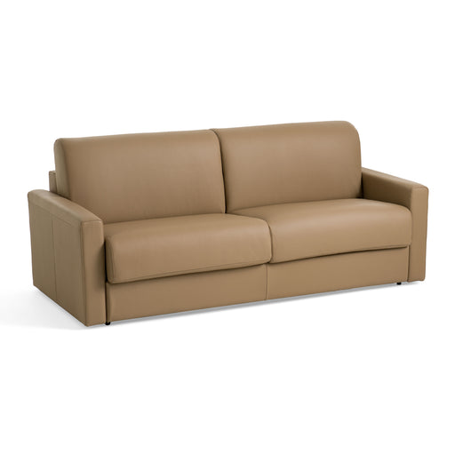 Revers - Italian Modern Desert Leather Queen Sofa bed — view 2