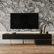 Tasha - Modern Black Ash + Brushed Gold TV Stand