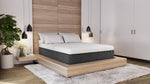 Diamond Mattress supplier product photograph